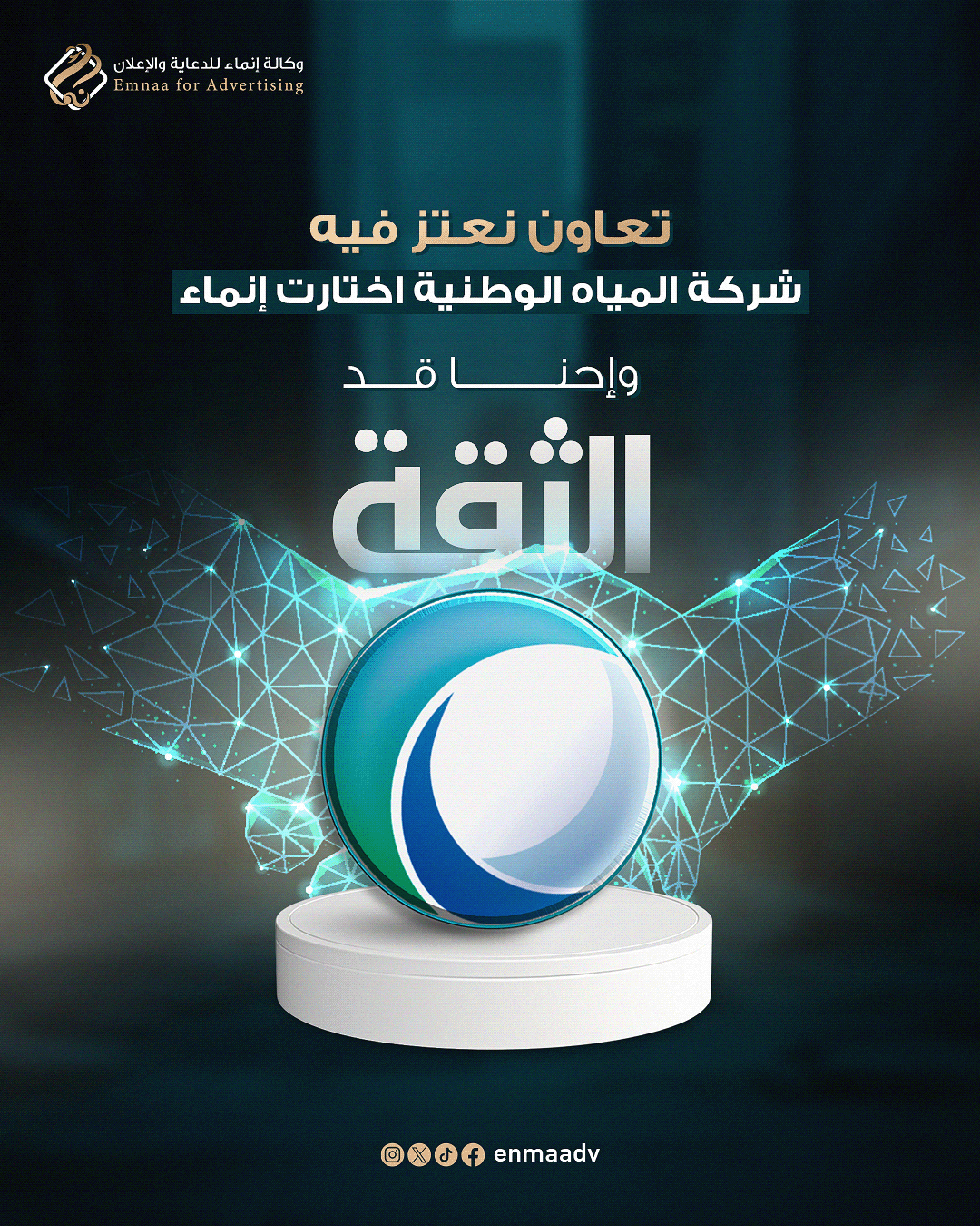 صورة إضافية 5