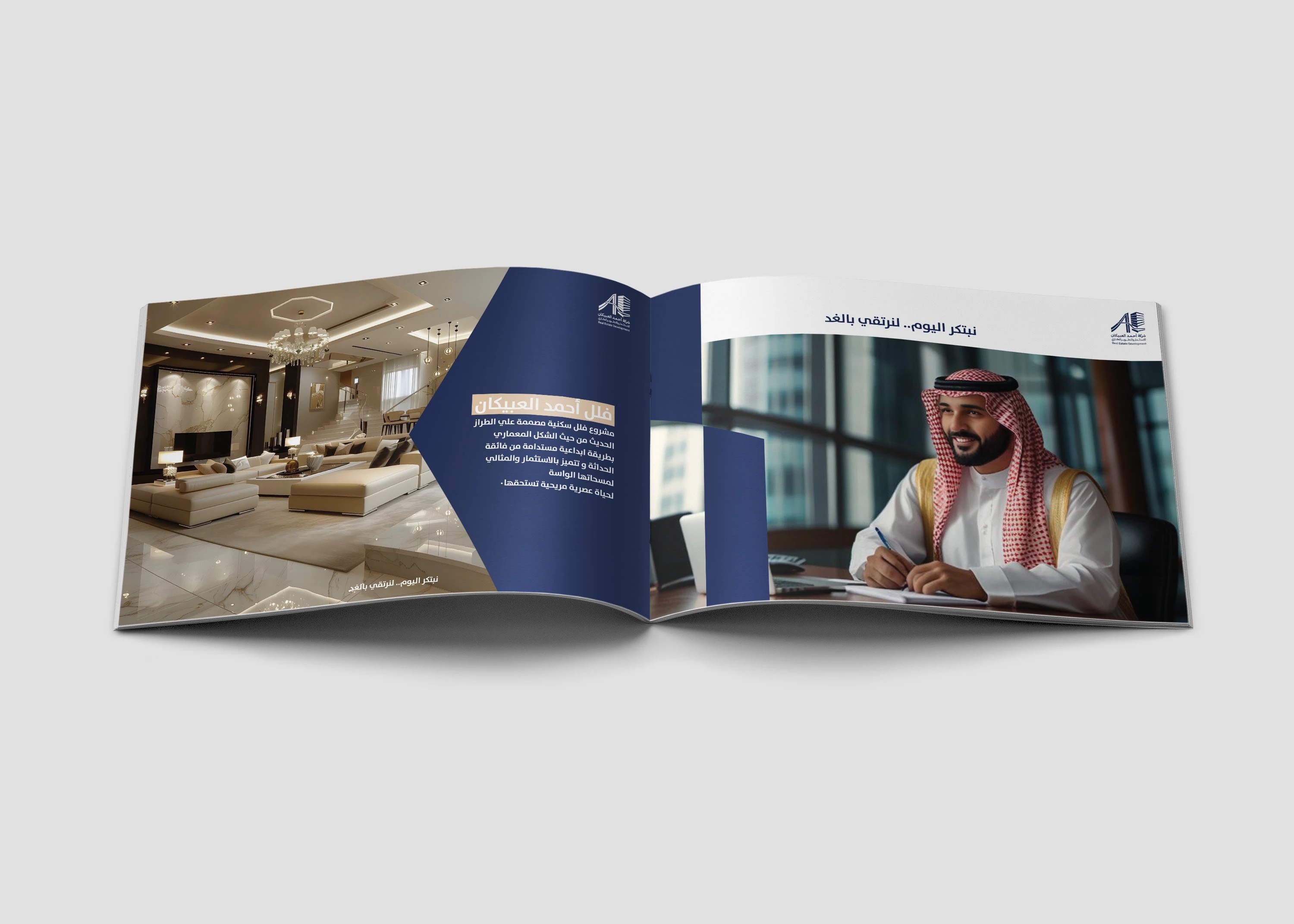 صورة إضافية 4