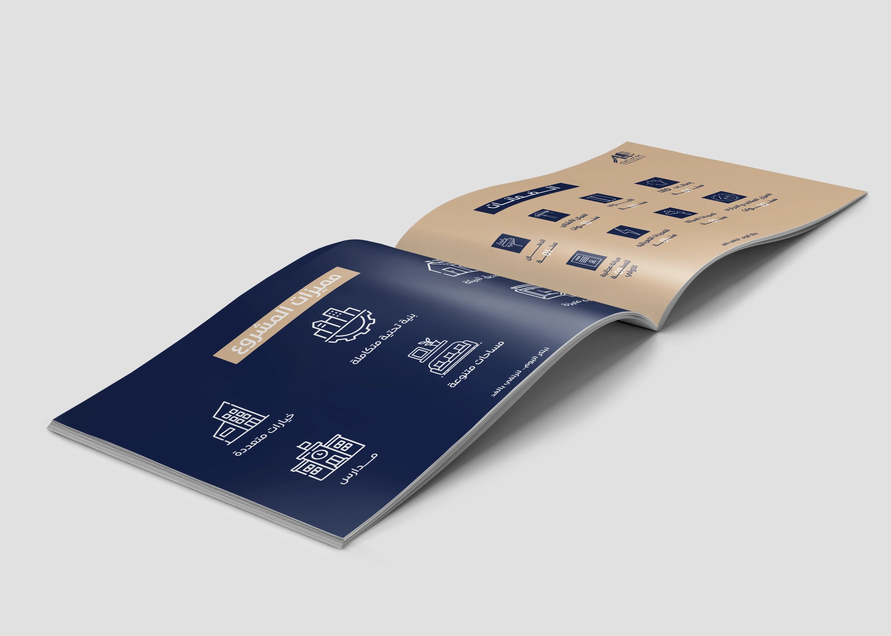 صورة إضافية 7