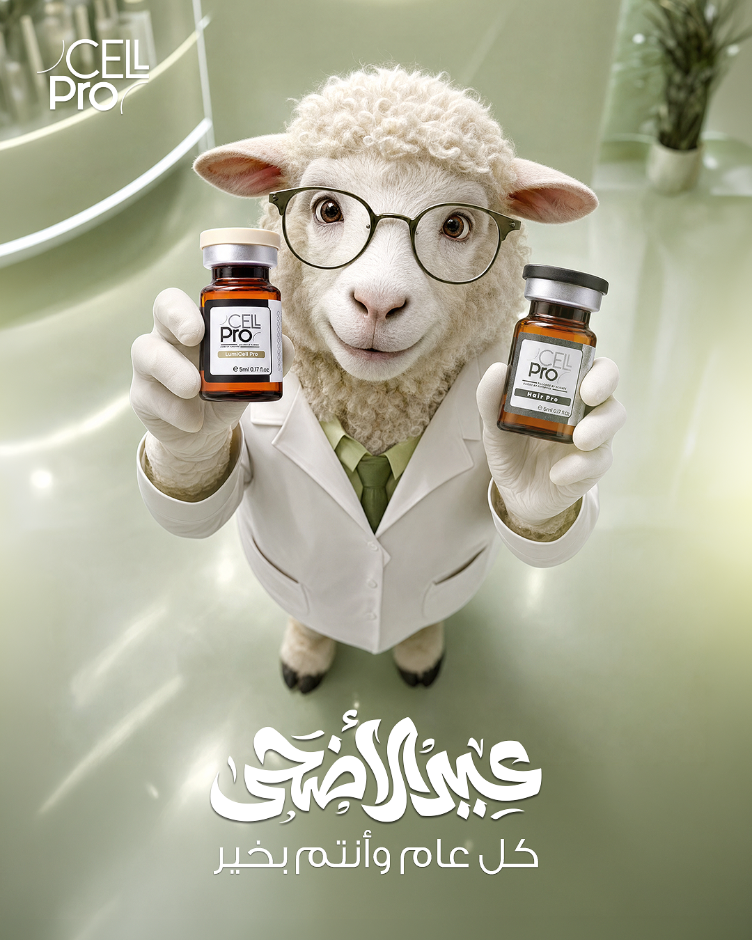 صورة إضافية 13