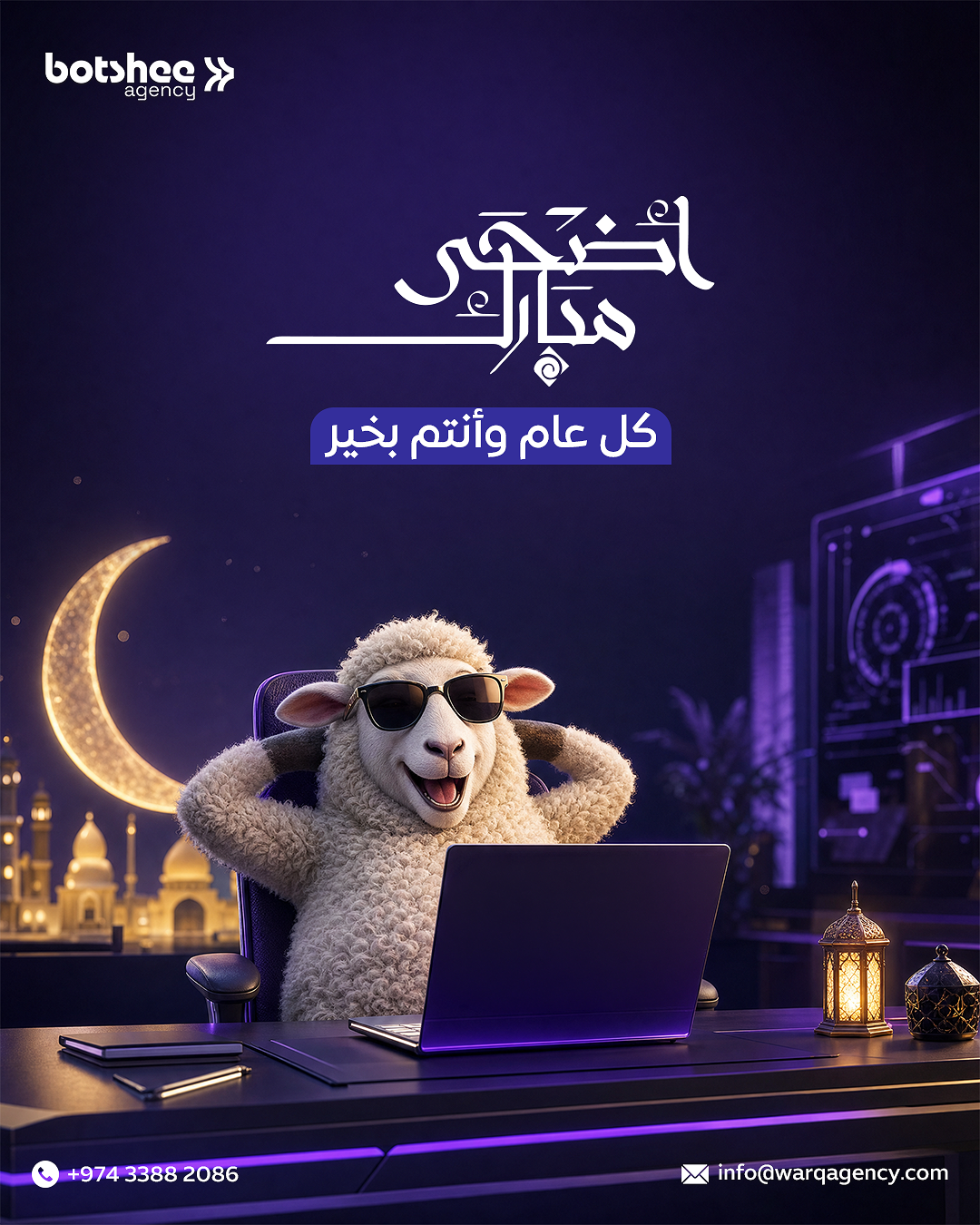 صورة إضافية 7