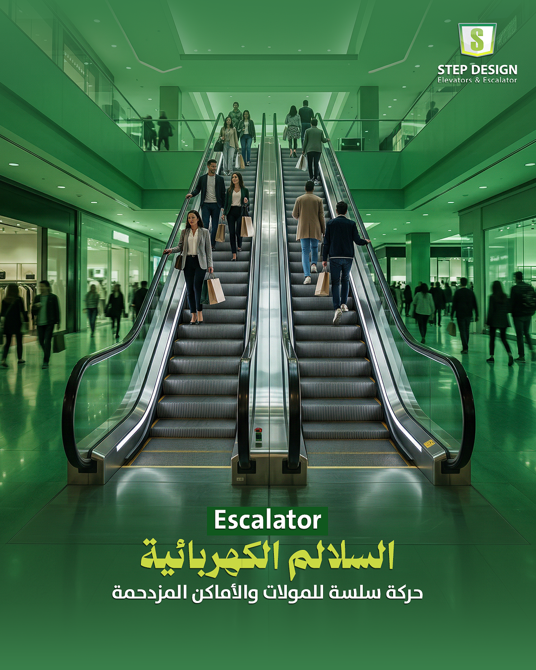 صورة إضافية 5